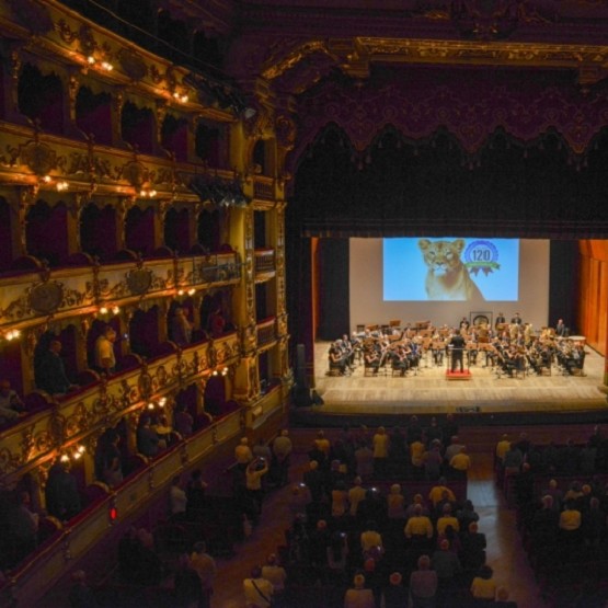 TEATRO GRANDE